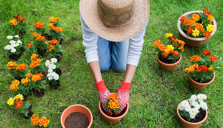 JARDINERÍA 
