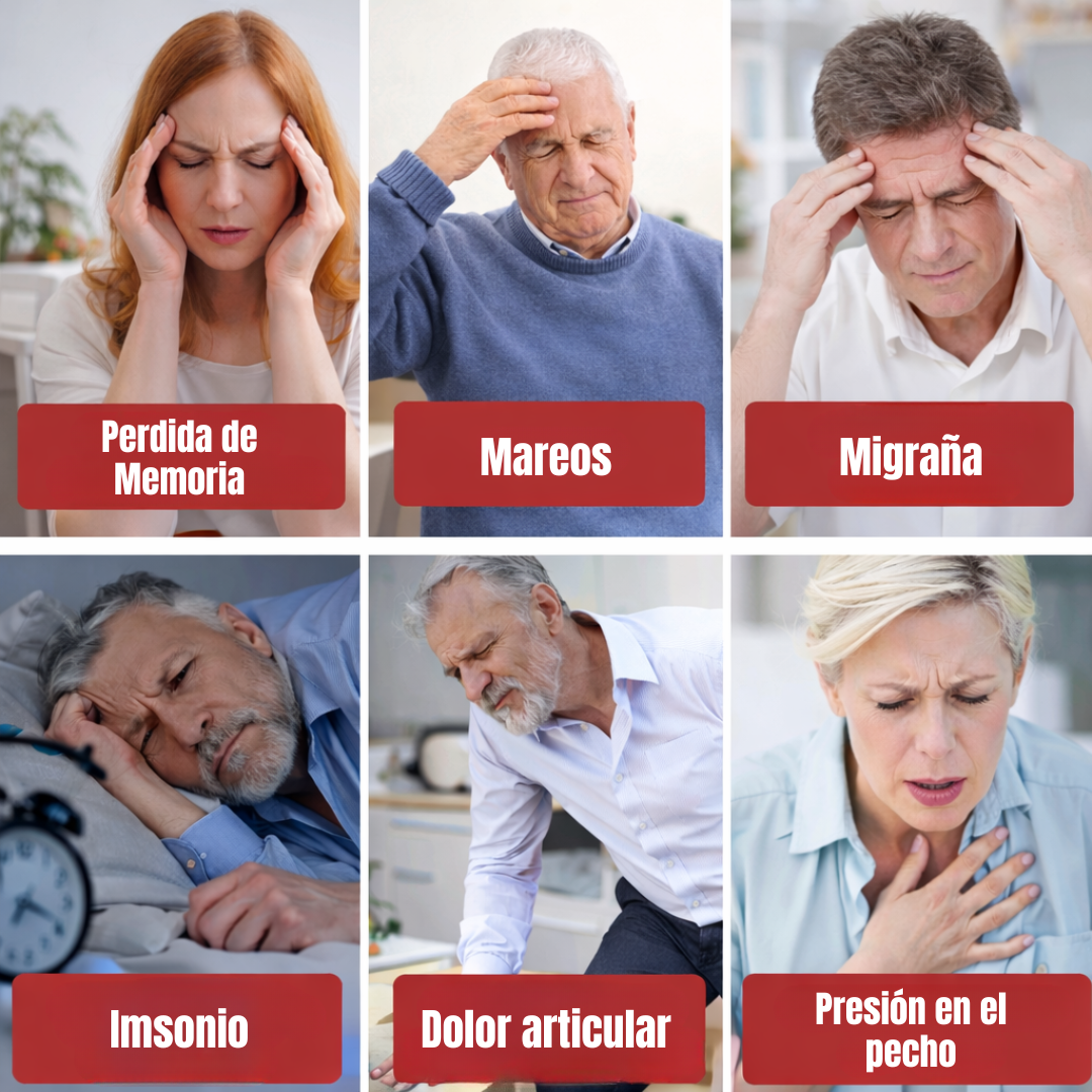 VitalFruit: Semillas de Fruta Ginseng para Reducir la Presión Arterial