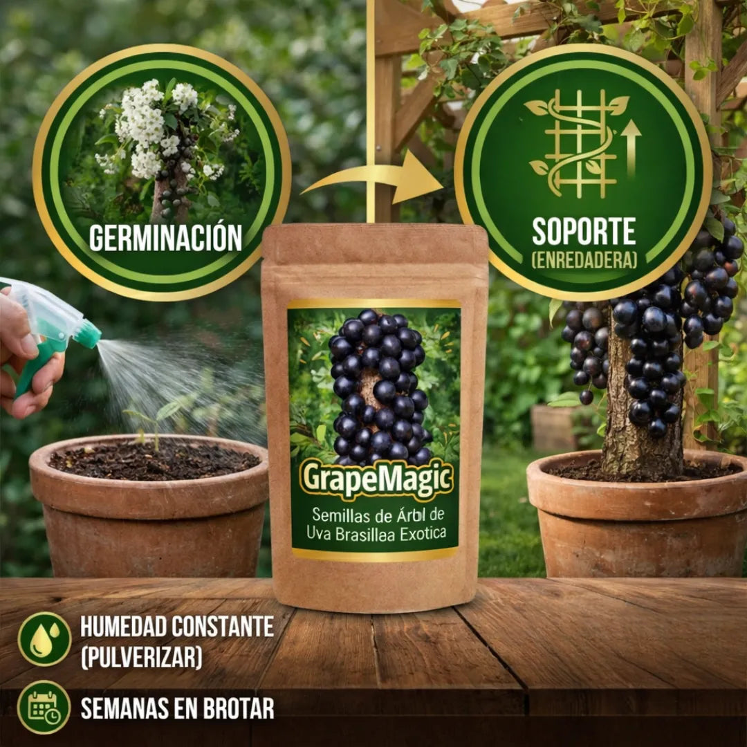GrapeMagic - Semillas de Árbol de Uva Brasileña Exótica