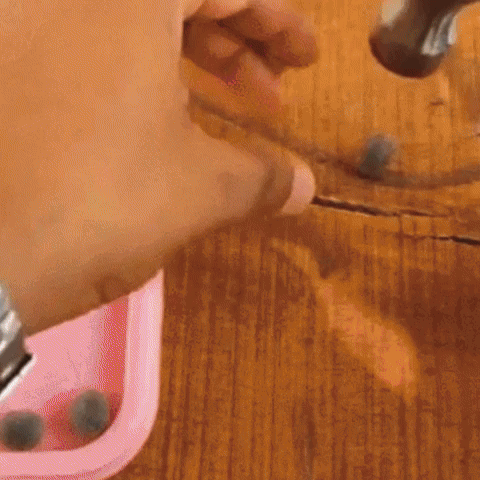 SacredLotus: Semillas exóticas de Loto Sagrado