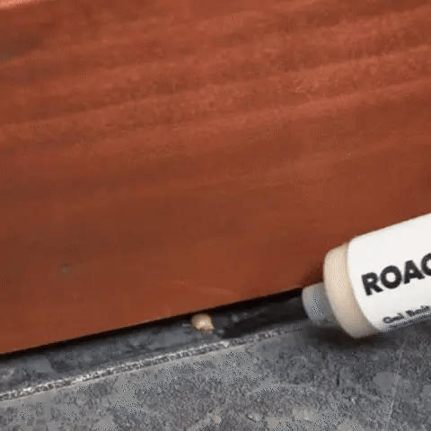 Roach Killing Gel®: Control Antiplagas Ultrapotente