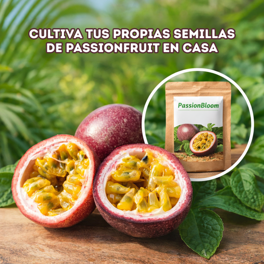 PassionBloom: Semillas de la Fruta de la Pasión Brasileña