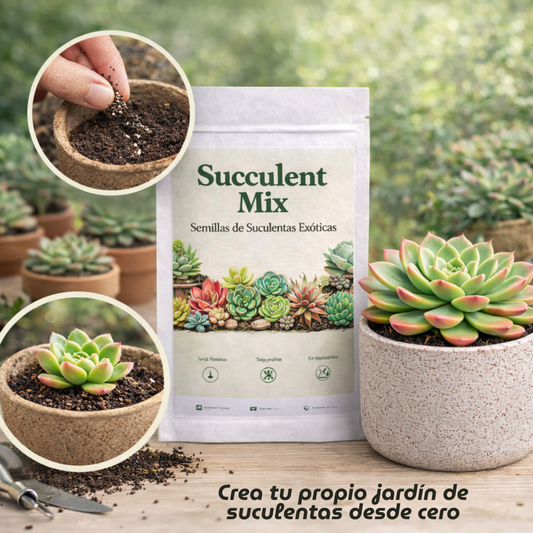 Succulent Mix: Pack de Semillas de Suculentas Exóticas