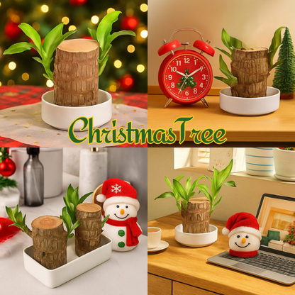 ChristmasTree: Planta de madera navideña de la suerte