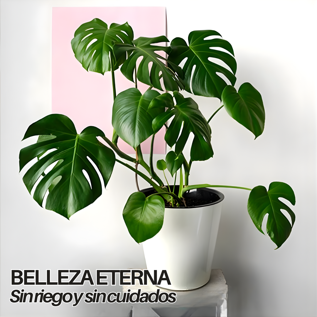 GreenLuxe | Planta Monstera Artificial Premium