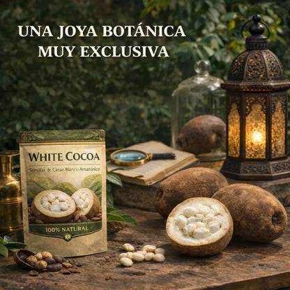 White Cocoa – Semillas de Cacao Blanco Amazónico