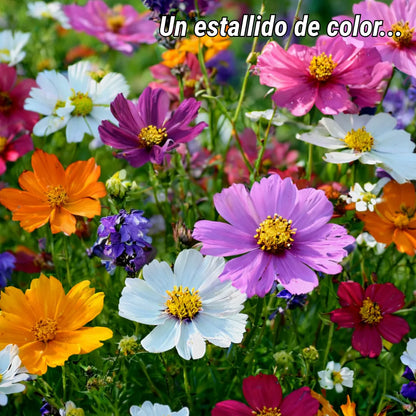 EdenGarden: Semillas de flores del Edén