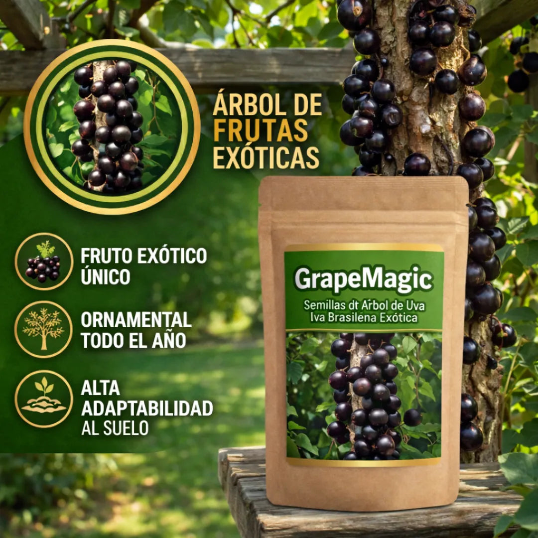GrapeMagic - Semillas de Árbol de Uva Brasileña Exótica