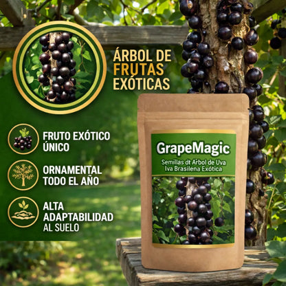 GrapeMagic - Semillas de Árbol de Uva Brasileña Exótica
