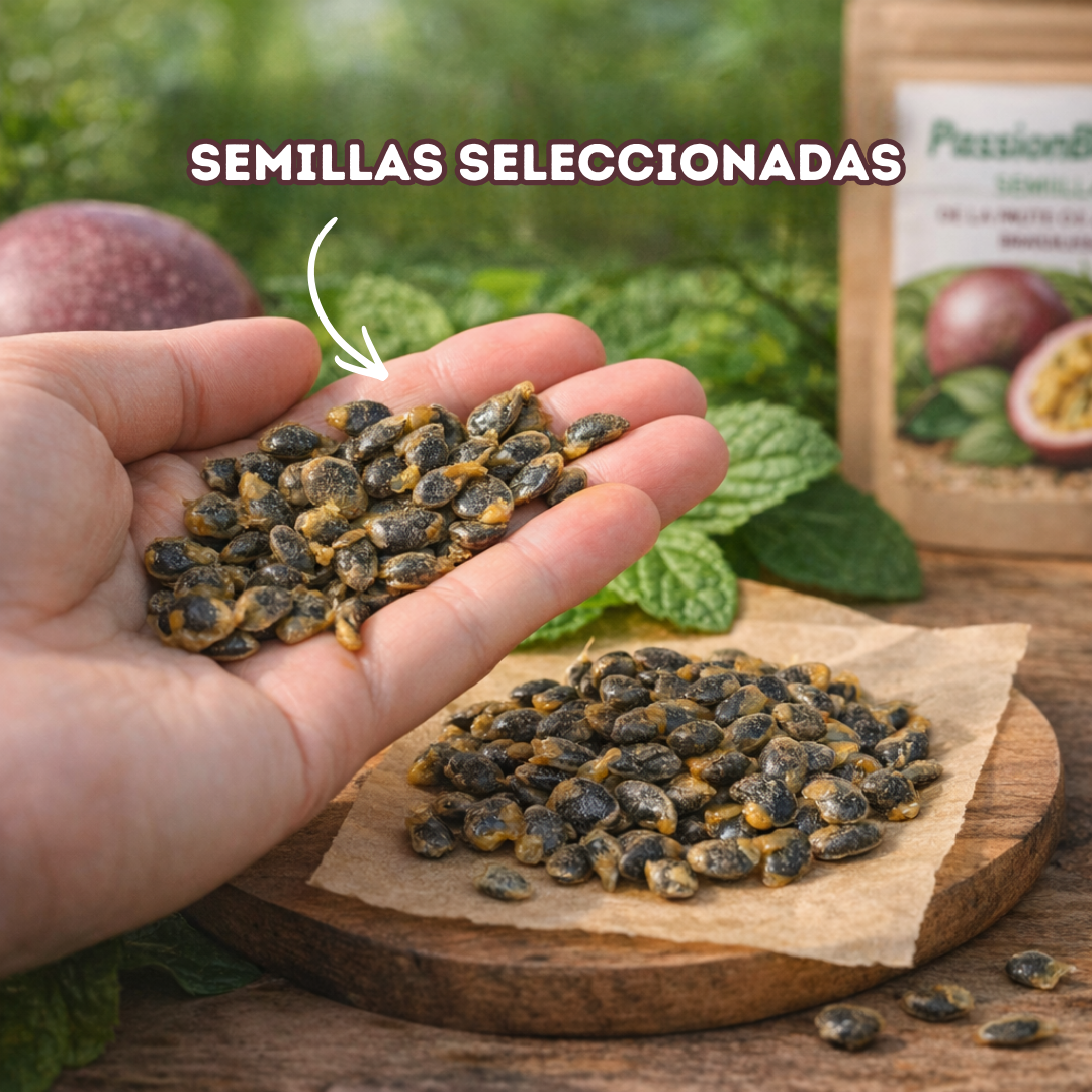 PassionBloom: Semillas de la Fruta de la Pasión Brasileña