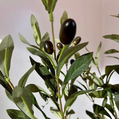 EverGreen: Olivo Artificial Realista