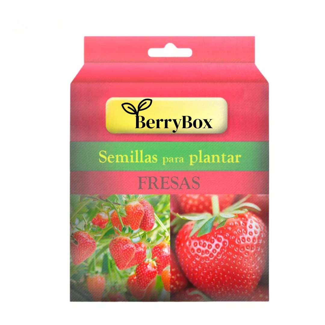 BerryBox: Semillas de Fresas