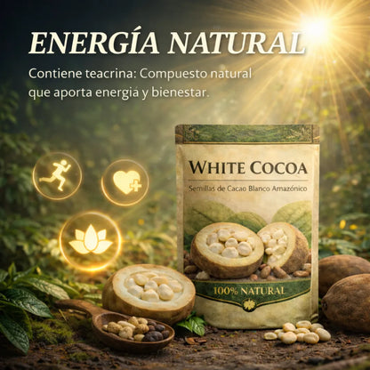 White Cocoa – Semillas de Cacao Blanco Amazónico