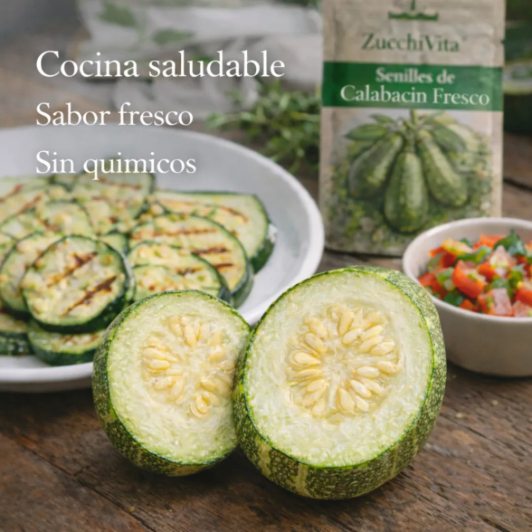 ZucchiVita™ – Semillas de Calabacín Fresco