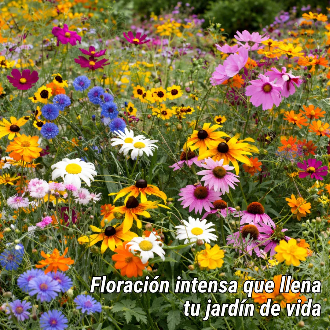 EdenGarden: Semillas de flores del Edén