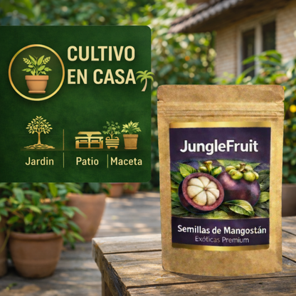 JungleFruit | Semillas de Mangostán Delicioso