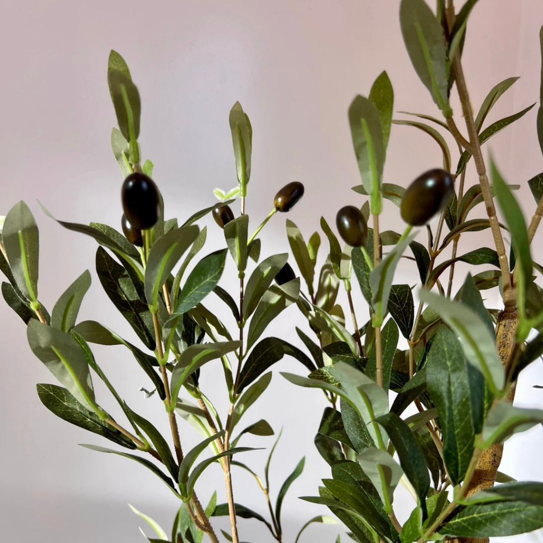 EverGreen: Olivo Artificial Realista