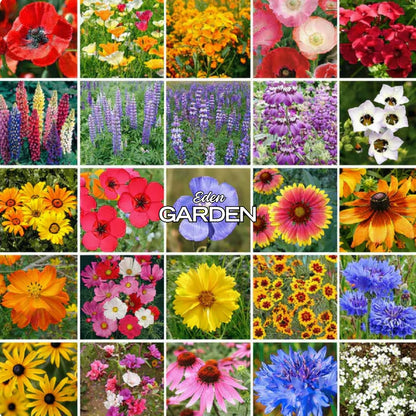EdenGarden: Semillas de flores del Edén