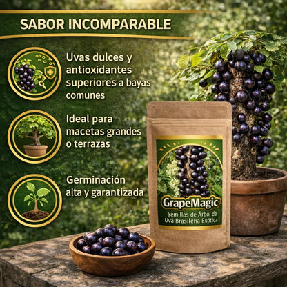 GrapeMagic - Semillas de Árbol de Uva Brasileña Exótica