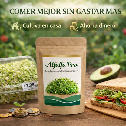 Alfalfa Pro - Semillas de Alfalfa Nutritiva y Regeneradora