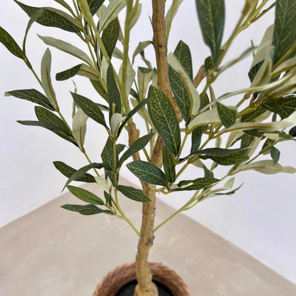 EverGreen: Olivo Artificial Realista