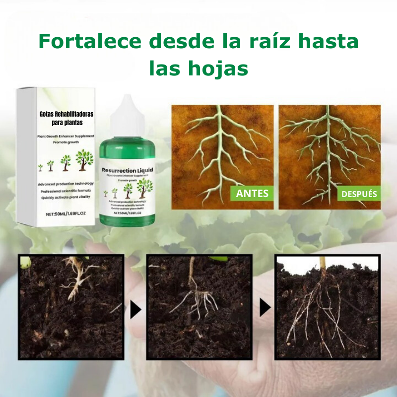 GOTAS REHABILITADORAS PARA PLANTAS PLANTSREHAB™