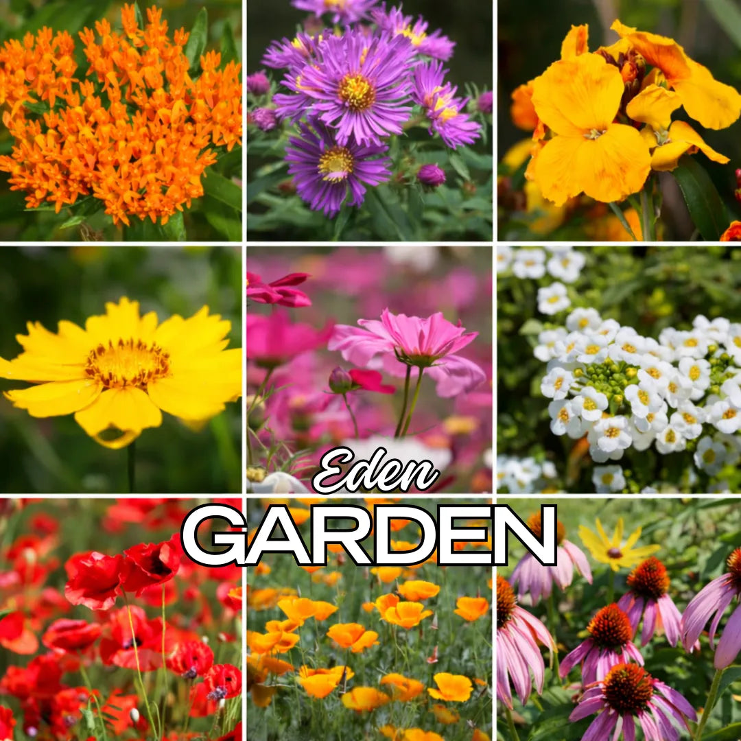EdenGarden: Semillas de flores del Edén