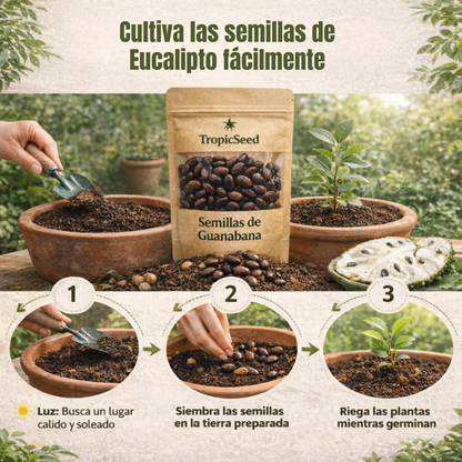TropicSeed: Semillas de Guanábana Tropical de Sabor Intenso