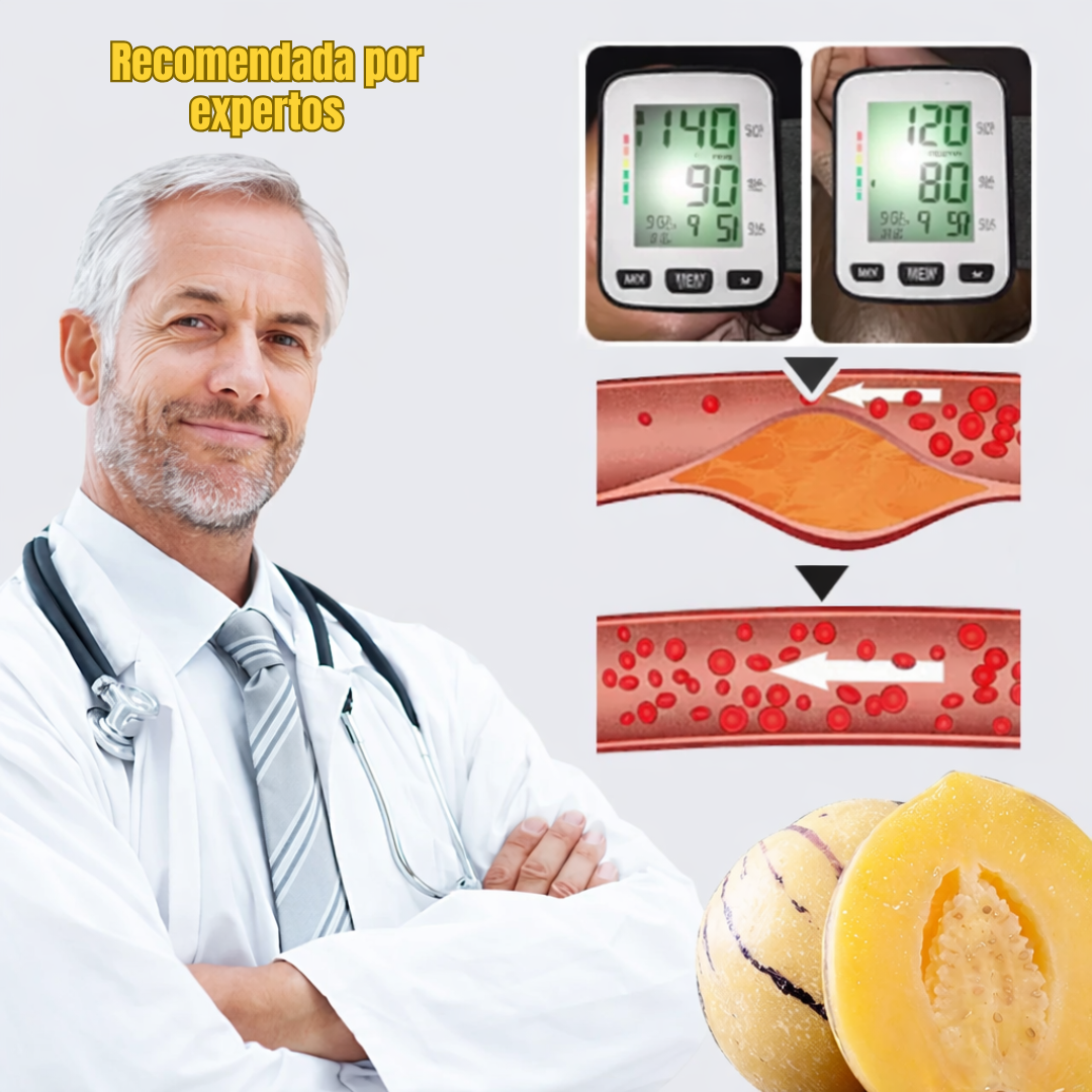 VitalFruit: Semillas de Fruta Ginseng para Reducir la Presión Arterial