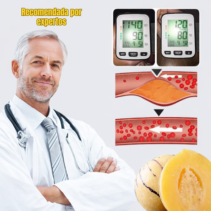 VitalFruit: Semillas de Fruta Ginseng para Reducir la Presión Arterial