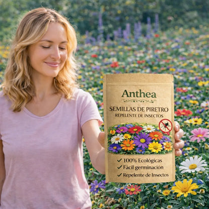 Anthea: Semillas de Piretro - Repelente de insectos