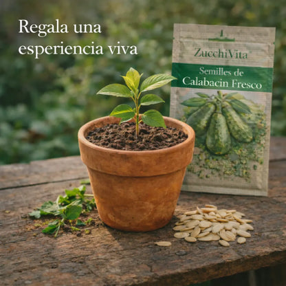 ZucchiVita™ – Semillas de Calabacín Fresco