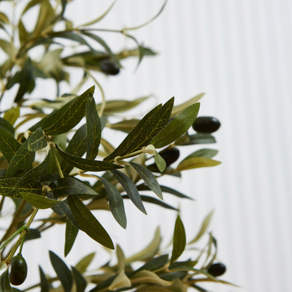 EverGreen: Olivo Artificial Realista