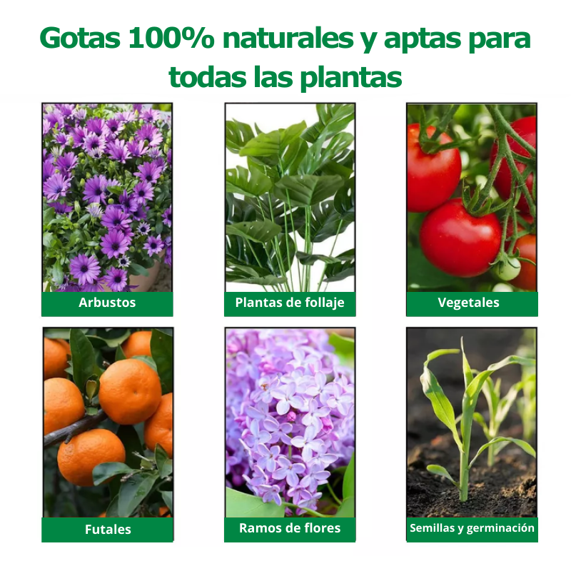 GOTAS REHABILITADORAS PARA PLANTAS PLANTSREHAB™