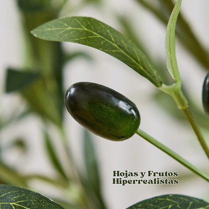 EverGreen: Olivo Artificial Realista