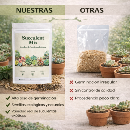 Succulent Mix: Pack de Semillas de Suculentas Exóticas