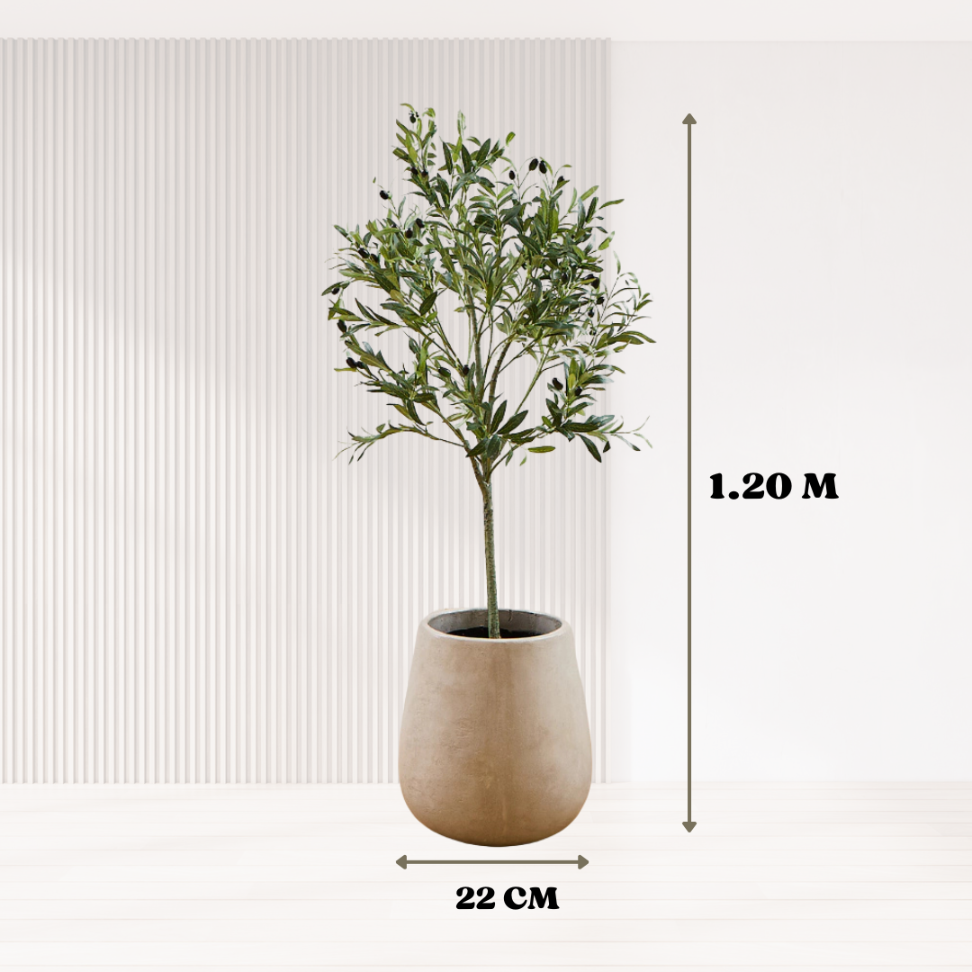 EverGreen: Olivo Artificial Realista