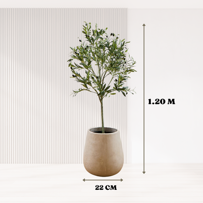 EverGreen: Olivo Artificial Realista