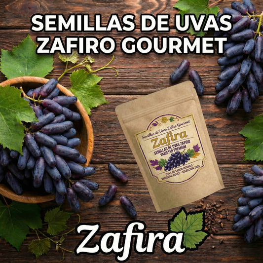 Zafira | Semillas de Uvas Zafiro Variedad Premium