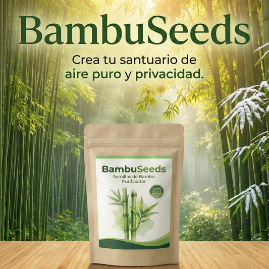 BambuSeeds: Semillas de Bambú Purificador