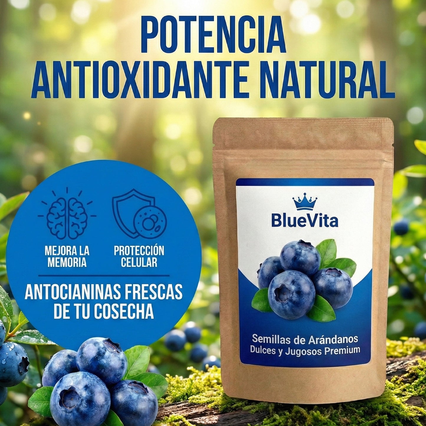 BlueVita | Semillas de Arándanos Dulces y Jugosos Premium