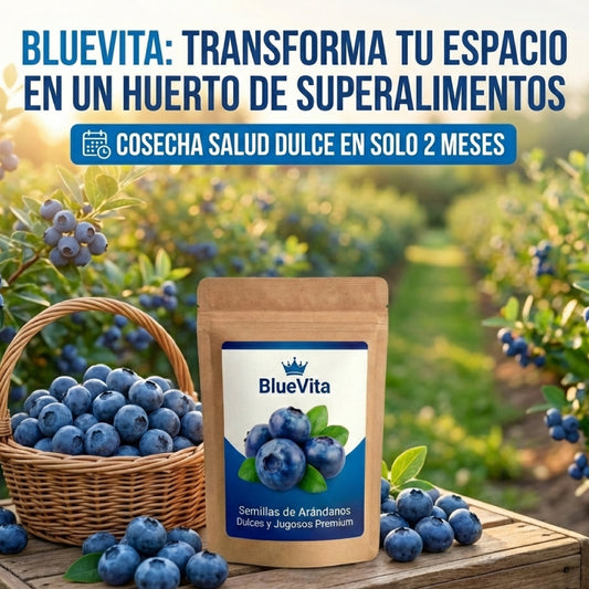 BlueVita | Semillas de Arándanos Dulces y Jugosos Premium