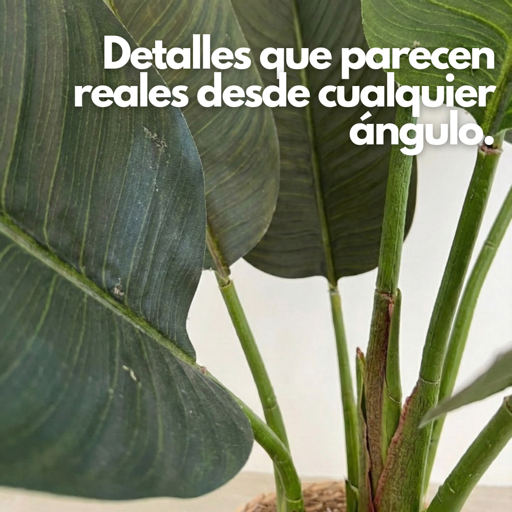 Botanic Fit: Planta Artificial Strelitzia Nicolai