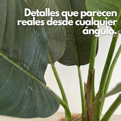 Botanic Fit: Planta Artificial Strelitzia Nicolai
