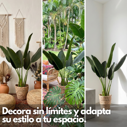 Botanic Fit: Planta Artificial Strelitzia Nicolai