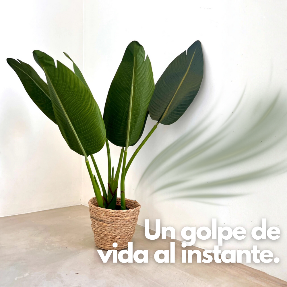 Botanic Fit: Planta Artificial Strelitzia Nicolai