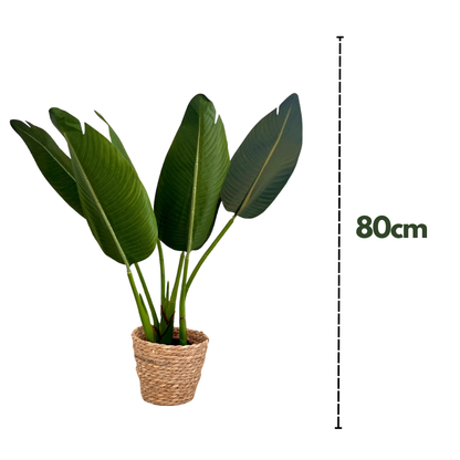 Botanic Fit: Planta Artificial Strelitzia Nicolai