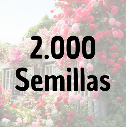 RoseClimb: Semillas de Rosa Trepadora