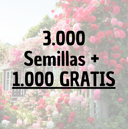 RoseClimb: Semillas de Rosa Trepadora