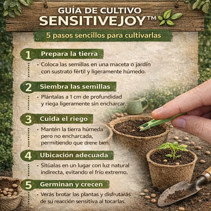 SensitiveJoy™ – Semillas de Mimosa Pudica (Planta Sensitiva)